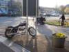harleysportster_small.jpg